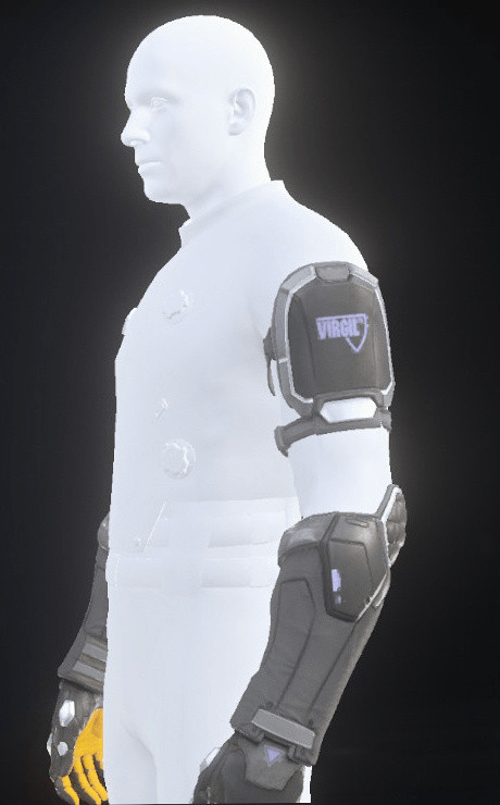 TrueDef-Pro Arms