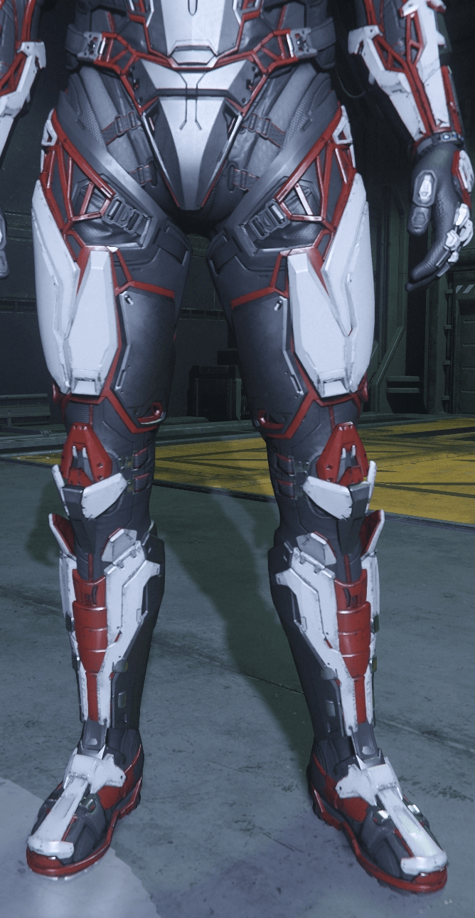 Aves Legs